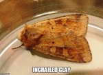 ingrailed claymeme